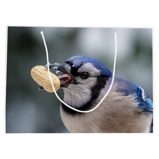Blaue Jay mit Erdnuss Große Geschenktüte (Rückseite)