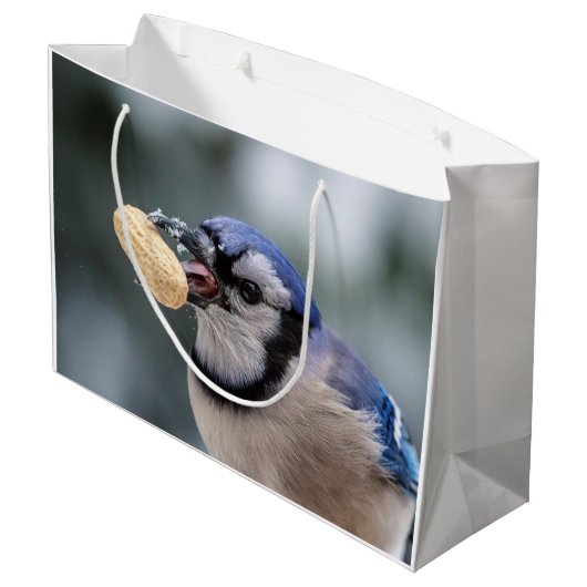 Blaue Jay mit Erdnuss Große Geschenktüte (Rückseite Schrägansicht)