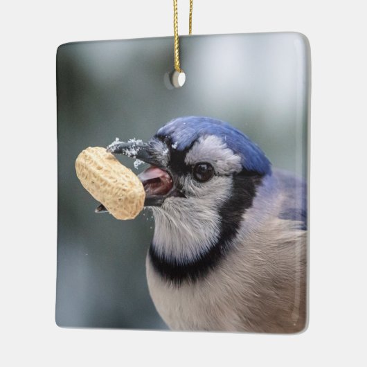 Blaue Jay mit Erdnuss Keramikornament (Links)