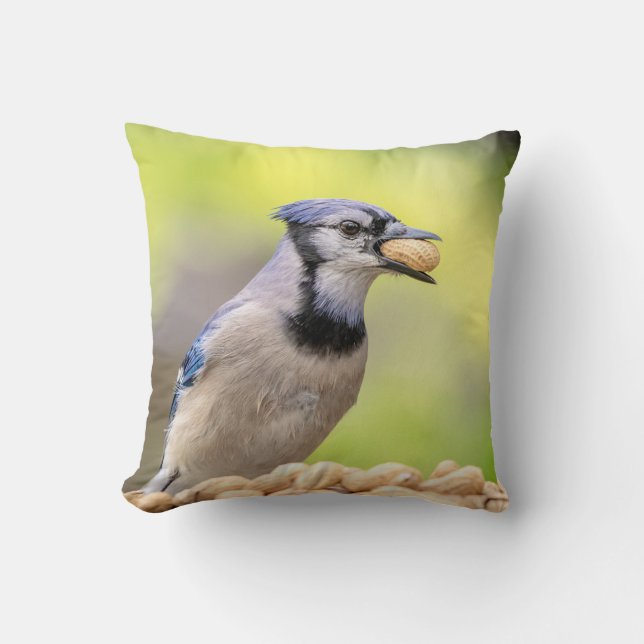 Blaue Jay mit Erdnuss Kissen (Vorderseite)