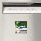 Blaue Jay mit Erdnuss Magnet (In Situ (Geschirrspüler))
