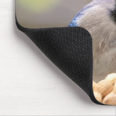 Blaue Jay mit Erdnuss Mousepad (Ecke)