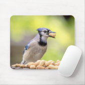 Blaue Jay mit Erdnuss Mousepad (Mit Mouse)