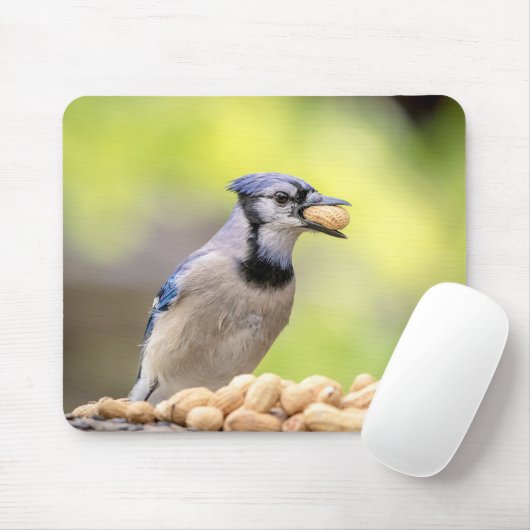Blaue Jay mit Erdnuss Mousepad (Mit Mouse)