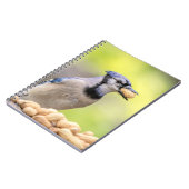Blaue Jay mit Erdnuss Notizblock (Linke Seite)