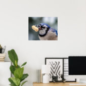 Blaue Jay mit Erdnuss Poster (Heimbüro)