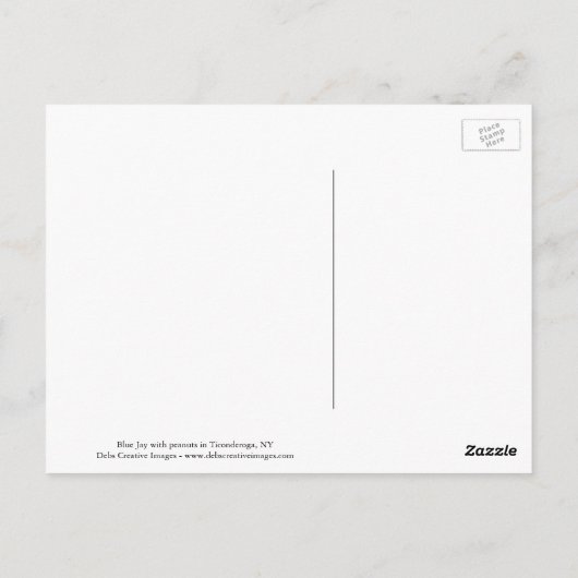 Blaue Jay mit Erdnuss Postkarte (Rückseite)