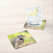 Blaue Jay mit Erdnuss Rechteckiger Pappuntersetzer (Vor Ort)