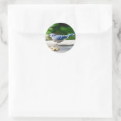 Blaue Jay mit Erdnuss Runder Aufkleber (Tasche)