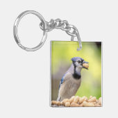 Blaue Jay mit Erdnuss Schlüsselanhänger (Vorderseite links)