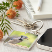Blaue Jay mit Erdnuss Schlüsselanhänger (Vorderseite rechts)