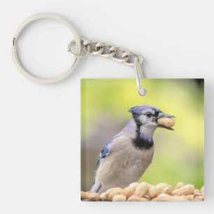Blaue Jay mit Erdnuss Schlüsselanhänger