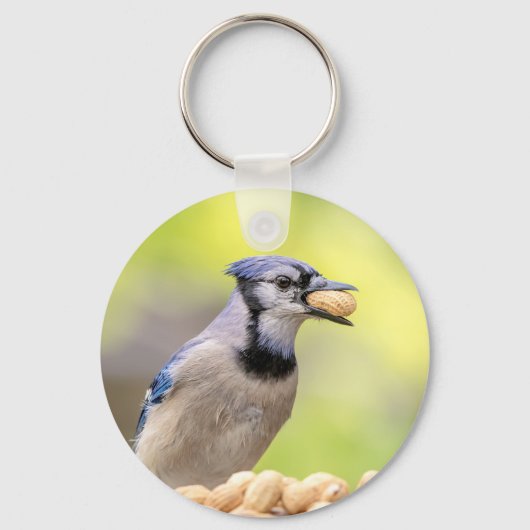 Blaue Jay mit Erdnuss Schlüsselanhänger (Vorderseite)