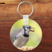 Blaue Jay mit Erdnuss Schlüsselanhänger (Vorderseite)