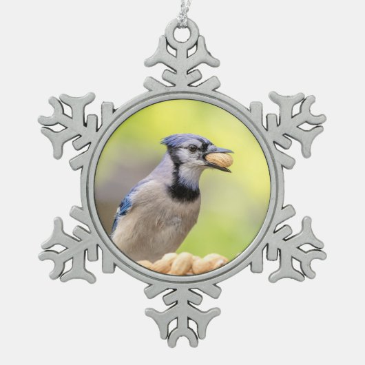 Blaue Jay mit Erdnuss Schneeflocken Zinn-Ornament (Vorderseite)