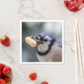 Blaue Jay mit Erdnuss Serviette (Beispiel)