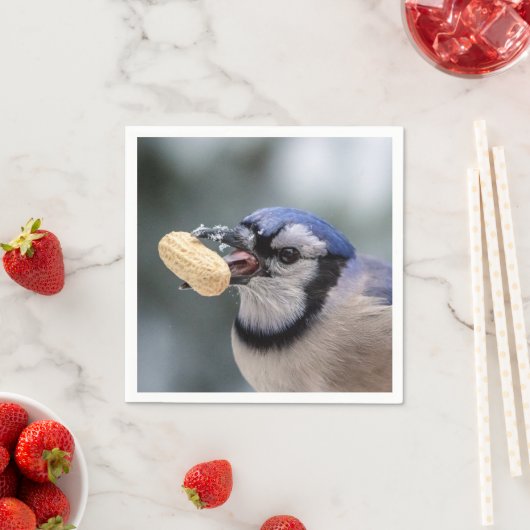Blaue Jay mit Erdnuss Serviette (Beispiel)