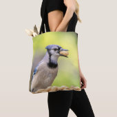 Blaue Jay mit Erdnuss Tasche (Von Nahem)