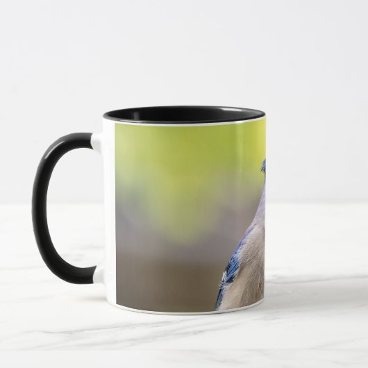 Blaue Jay mit Erdnuss Tasse (Links)