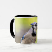 Blaue Jay mit Erdnuss Tasse (Vorderseite Links)