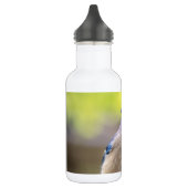 Blaue Jay mit Erdnuss Trinkflasche (Links)