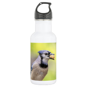Blaue Jay mit Erdnuss Trinkflasche