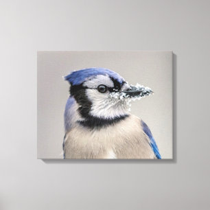 Blaue Jay mit Schnee auf seinem Schnabel Leinwanddruck