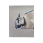 Blaue Jay mit Schnee auf seinem Schnabel Notizblock (Rotiert)