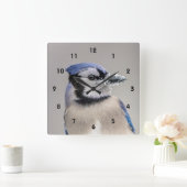 Blaue Jay mit Schnee auf seinem Schnabel Quadratische Wanduhr (Zuhause)