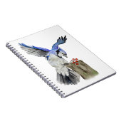 Blaue Jay Notizblock (Rechte Seite)