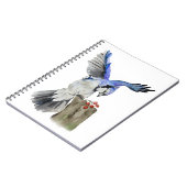 Blaue Jay Notizblock (Linke Seite)