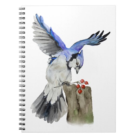 Blaue Jay Notizblock (Vorderseite)