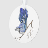 Blaue Jay Ornament (Vorderseite)