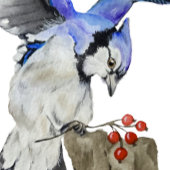 Blaue Jay Planer