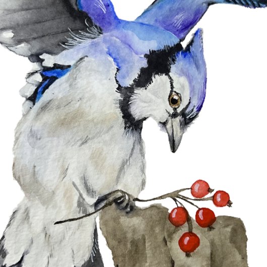 Blaue Jay Planer