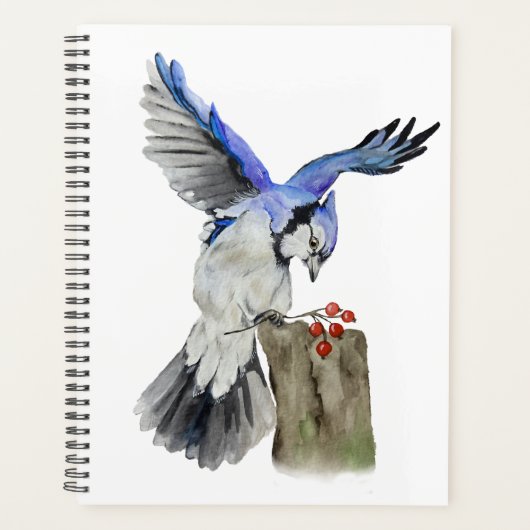 Blaue Jay Planer (Vorderseite)