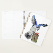 Blaue Jay Planer (Anzeige)