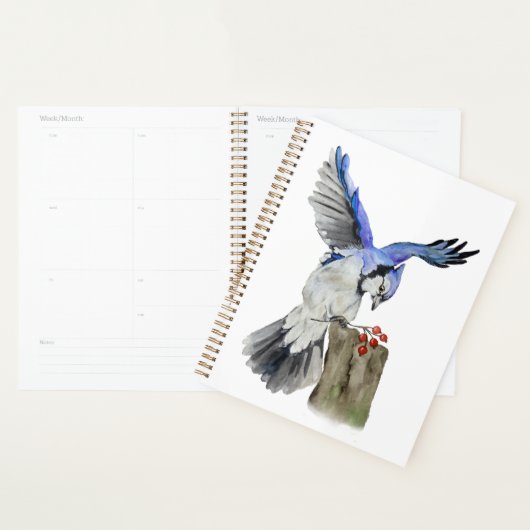 Blaue Jay Planer (Anzeige)