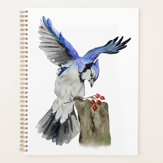 Blaue Jay Planer (Vorderseite)