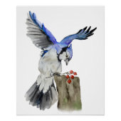 Blaue Jay Poster (Vorderseite)