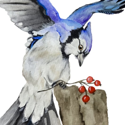 Blaue Jay Poster
