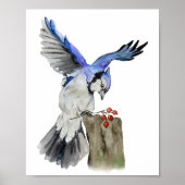 Blaue Jay Poster (Vorne)