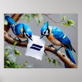 Blaue Jay Poster (Vorne)