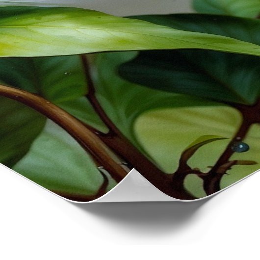 Blaue Jay Poster (Ecke)