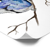 Blaue Jay Poster (Ecke)