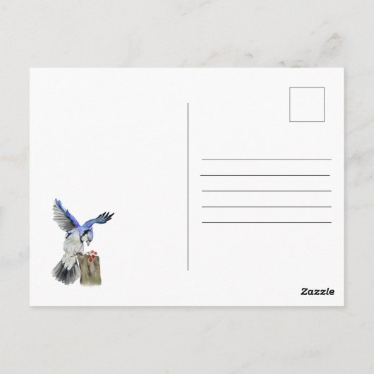 Blaue Jay Postkarte (Rückseite)