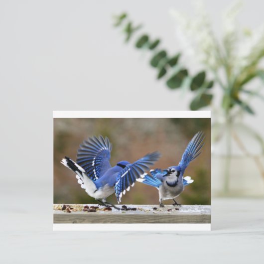 Blaue Jay Postkarte (Stehend Vorderseite)