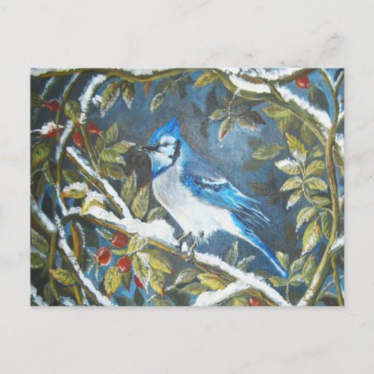 Blaue Jay Postkarte (Vorderseite)