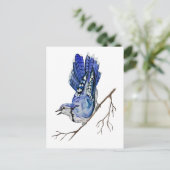 Blaue Jay Postkarte (Stehend Vorderseite)