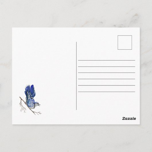 Blaue Jay Postkarte (Rückseite)